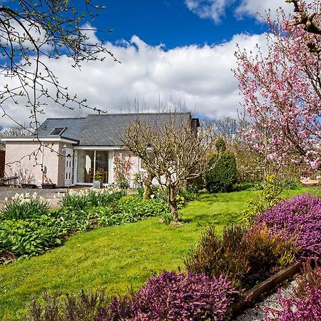 Ty'R Afon - River Cottage Bala Exterior foto